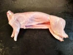 Frozen rabbit bone in whole carcass