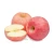 Import fuji apples fresh white  meat red apple laptop china from China