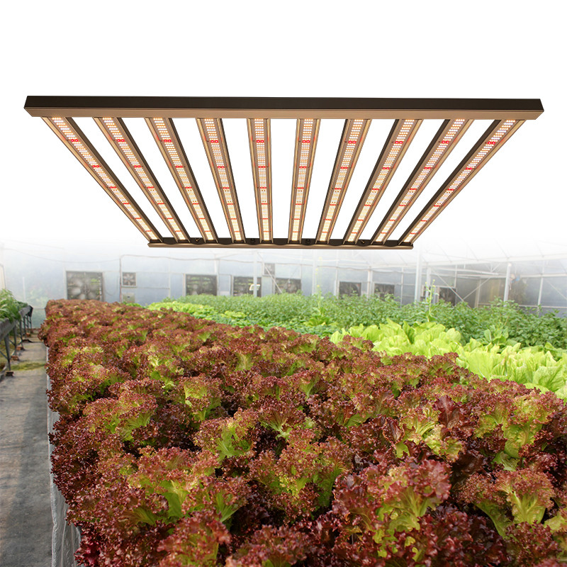 Buy Full Spectrum Led Grow Lights Cob Led Grow Light from Shenzhen ...