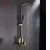 Import Fyeer Luxury Black Painted Multifunction Sliding Shower Column Set with Bidet Sprayer from China