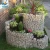 Import GABION BOX For Decoration and Design in your Garden from China