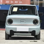 Geometry Car Panda Mini Agile Bear Suspended Dual Color Body