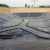 Import Good Quality Plastic Waterproof Black Hdpe 0.2mm-2.5mm Hdpe Sheet Geomembrane geo membranas from China