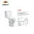 Import Good quality wholesale bathroom ceramic two piece toilet bowl from China