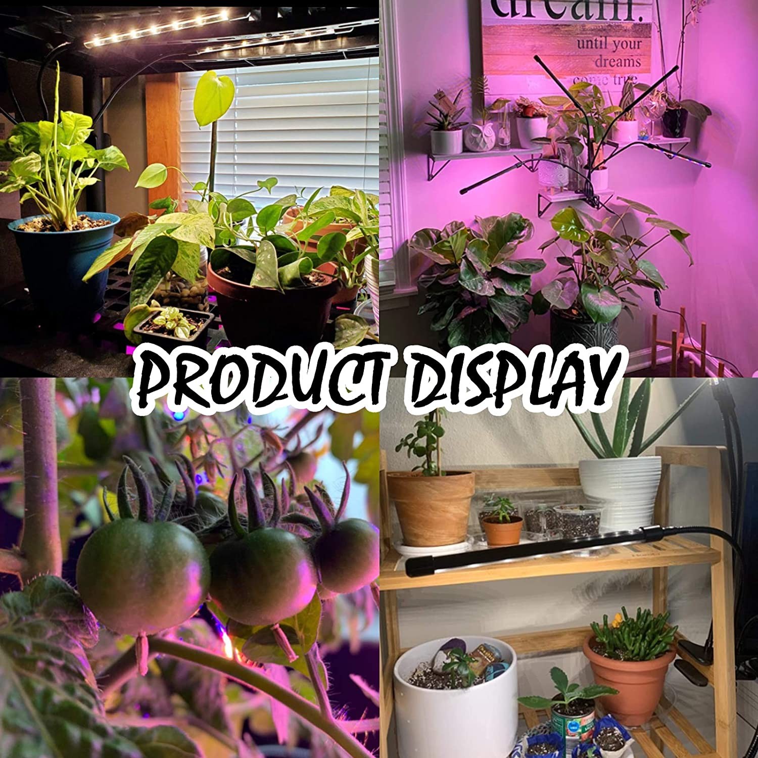 Buy Grow Light For Indoor Plants 80 Led Lamps With Full Spectrum & Red ...