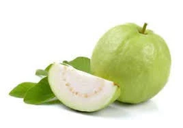 GUAVA WITH BEST PRICE