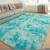 Import #H5-005 Advanced Custom Shaggy Carpet Rugs Stand Up To Wear And Tear Floor Mat Carpets from China