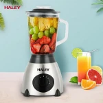 HALEY 1015 best-selling home appliance 2 in 1 blender for mixing, grinding and fruitbest-selling  juicer Blender