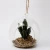 Import hanging or table decoration artificial succulent plants in glass pot from China