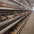 Import Henan silver star poultry equipment chicken cages for Kenya farm from China
