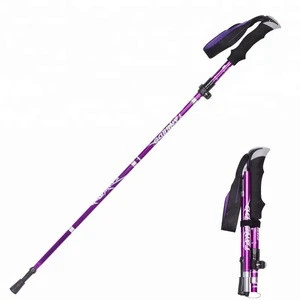 High quality carbon fiber folding alpine ski cane poles