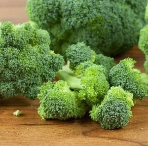 High Quality Fresh Broccoli/ Fresh Broccoli Vegetables
