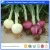 Import High quality lowest price fresh red onion for sale with fast delivery from Chinese factory from China