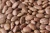Import High Quality Pinto bean Light Speckled kidney Beans from South Africa