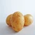 Import High-quality Yellow  Fresh Organic Vegetable Nutrition Sweet Potato from Ukraine