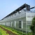 Import Home Garden intelligent control systems PC Greenhouse from China