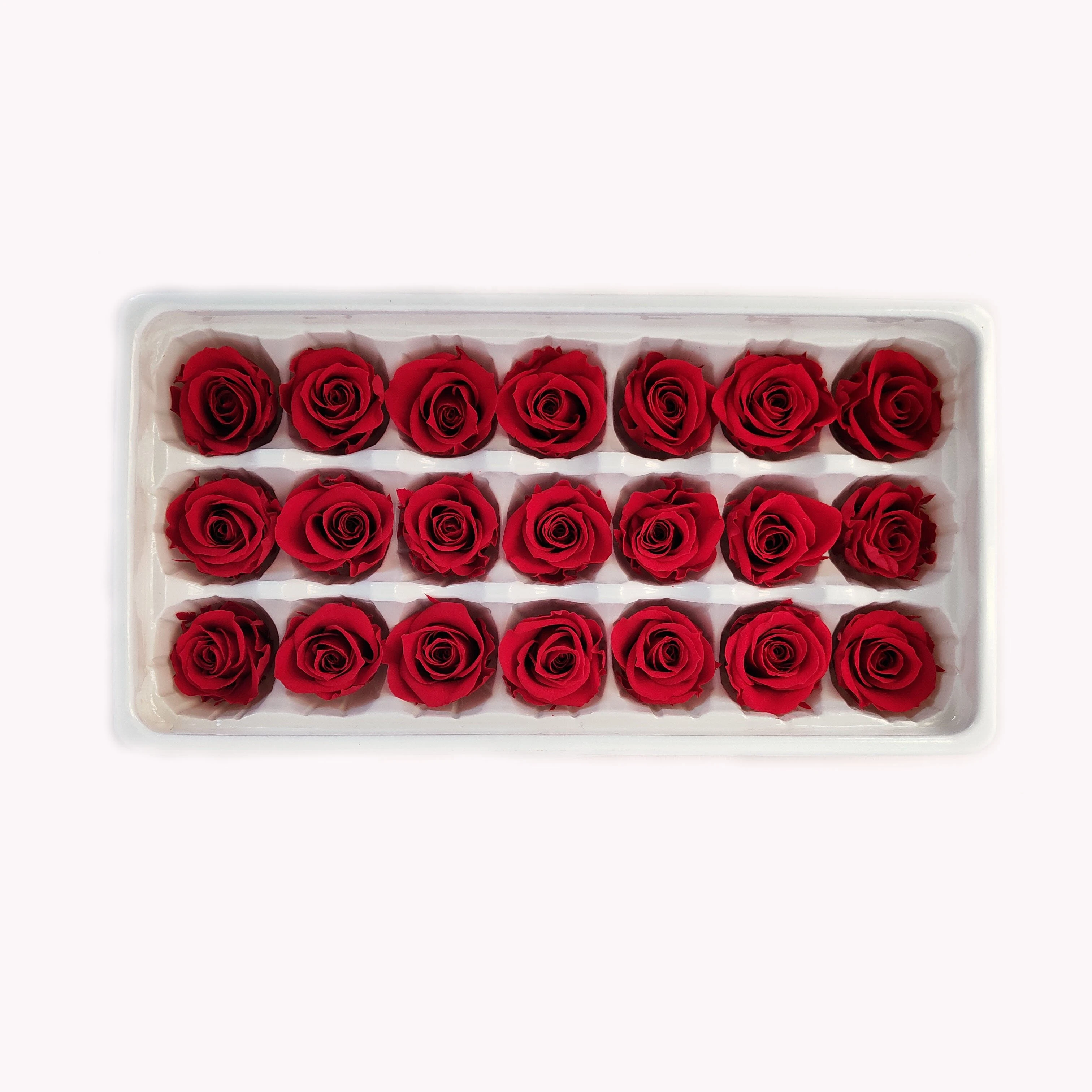 Hot Sale 2-3cm Eternal Preserved Rose Heads in Box