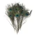 Import Hot sale 25-120cm Natural Peacock Feather With Eyes from China