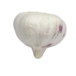 hot sale Chinese fresh normal white garlic for wholesale