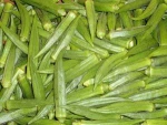 Hot Sale High Quality Fresh Okra