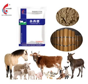 Hot sale natural cow health powder medicine companies looking for agents in africa