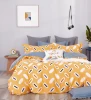 Hot Sales Factory Direct Supply Comfortable and Luxury 100 cotton dsn Bed Bedding Set