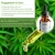 Import Hot Sell Private Label CBD Pain Anxiety Relief  Hemp Seed Extract Hemp Oil from China