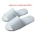 Import Hot Selling Wholesale Hotel Grade Travel Disposable Slipper from China