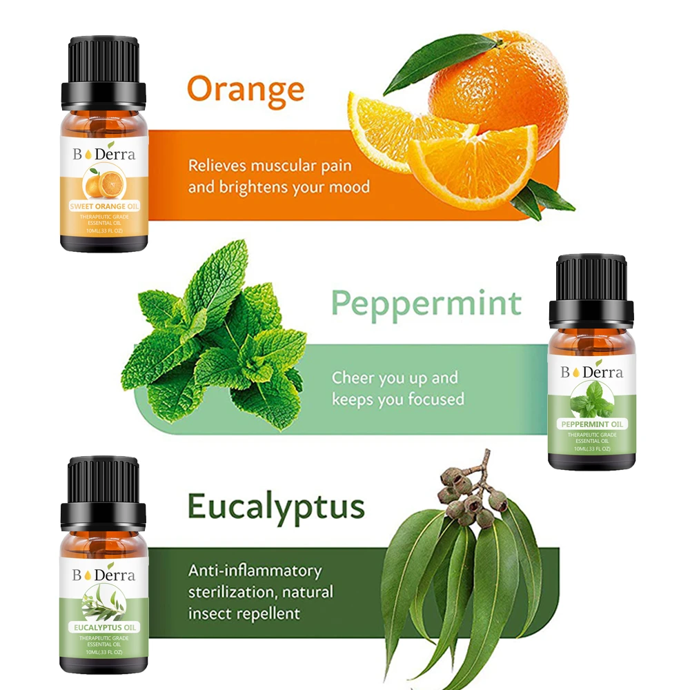 In Stock10ml natural organic 100% pure eucalyptus /tea tree oil