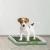 Import Indoor Potty Pet Toilet Training Puppy Dog Potty Grass Pad from China