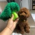 Import INS hot style broccoli shape squeaky sound pet toys dogs hide food toys cute plush interactive dog chew toys from China