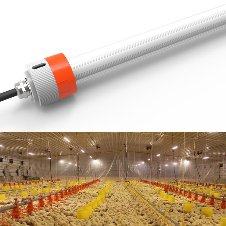 IP67 18W 25W T8 Chicken Poultry Lighting Hanging Dimmable Color Changeable
