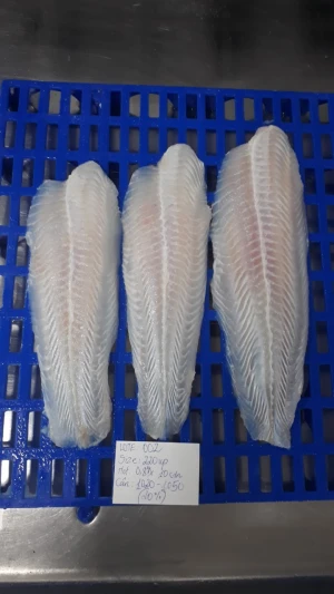 IQF FROZEN PANGASIUS/ BASA FISH FILLET WELL-TRIMMED