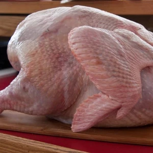 ISO Frozen Turkey Meat From South Africa
