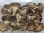 Import Japan Typical Delicious Raw Cultivated Dried Shiitake Mushrooms bulk snack food product from Japan