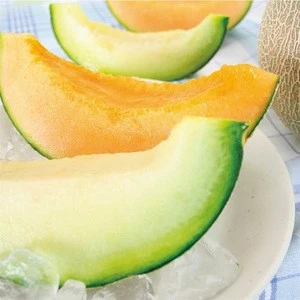 Japanese melon seeds cultivated by veteran producers