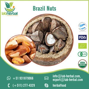 Leading Manufacturer of Pure and Fresh Brazil Nuts in Bulk