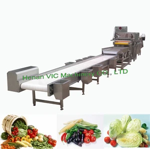Leafy Vegetable Cutter & Washer