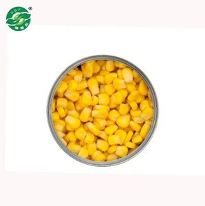 Long-term delicious sweet young yellow vegetable corn canned price