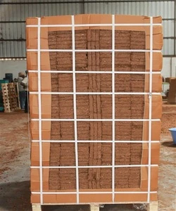 Low EC Coco peat Grow Bag slabs for cucumber and tomato cultivation