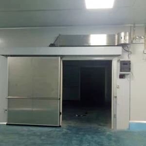 Low temperature blast freezer quick freezing cold room for food conservation