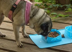 luxury dog and cat food bowls bulk folding modern dog bowls soft dog travel bowls