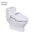 Import Luxury Heated Seat Remote Type Electric Bidet from China