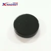 Magnets Factory Supplies Black round Disc Magnets Nd-Fe-B Rare Earth Magnets