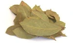 Manufacturer supply natural spice bay leaves for sale