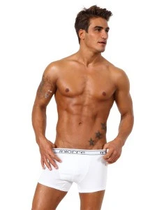 Miorre OEM Wholesale Men&#39;s Underwear Modal Cotton Quality Stretch Boxer Brief