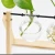 Import Multiple light bulb glass vases on wooden stand Office desk decoration Hydroponic plants flower vase from China