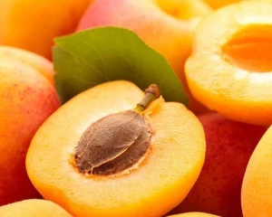 Natural Fresh Apricots/Fresh Apricots Fruit for sale