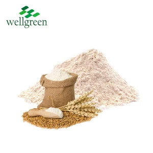 Natural High Protein Vital Wheat Gluten Flour For Vegan Food Additives