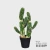 Import Nearly Nature Decorative Cactus Artificial Plant Faux Fake Saguaro Cactus Artificial Small Potted for Home Office Decor Indoor from China
